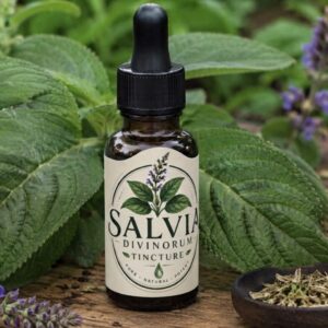 Salvia Divinorum Tincture